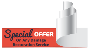 Coral Gables Restoration Company, Coral Gables, FL 786-363-3847