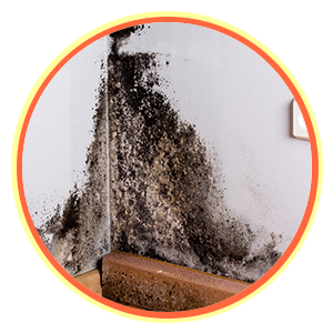 Expert Miami Restoration, Miami, FL 786-314-7307