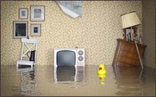 Coral Gables Restoration Expert, Coral Gables, FL 786-364-3658