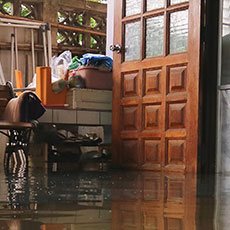 Palm Beach Restoration Expert Palm Beach, FL 561-379-1244