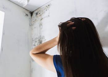 Margate Restoration Company, Margate, FL 954-417-8767